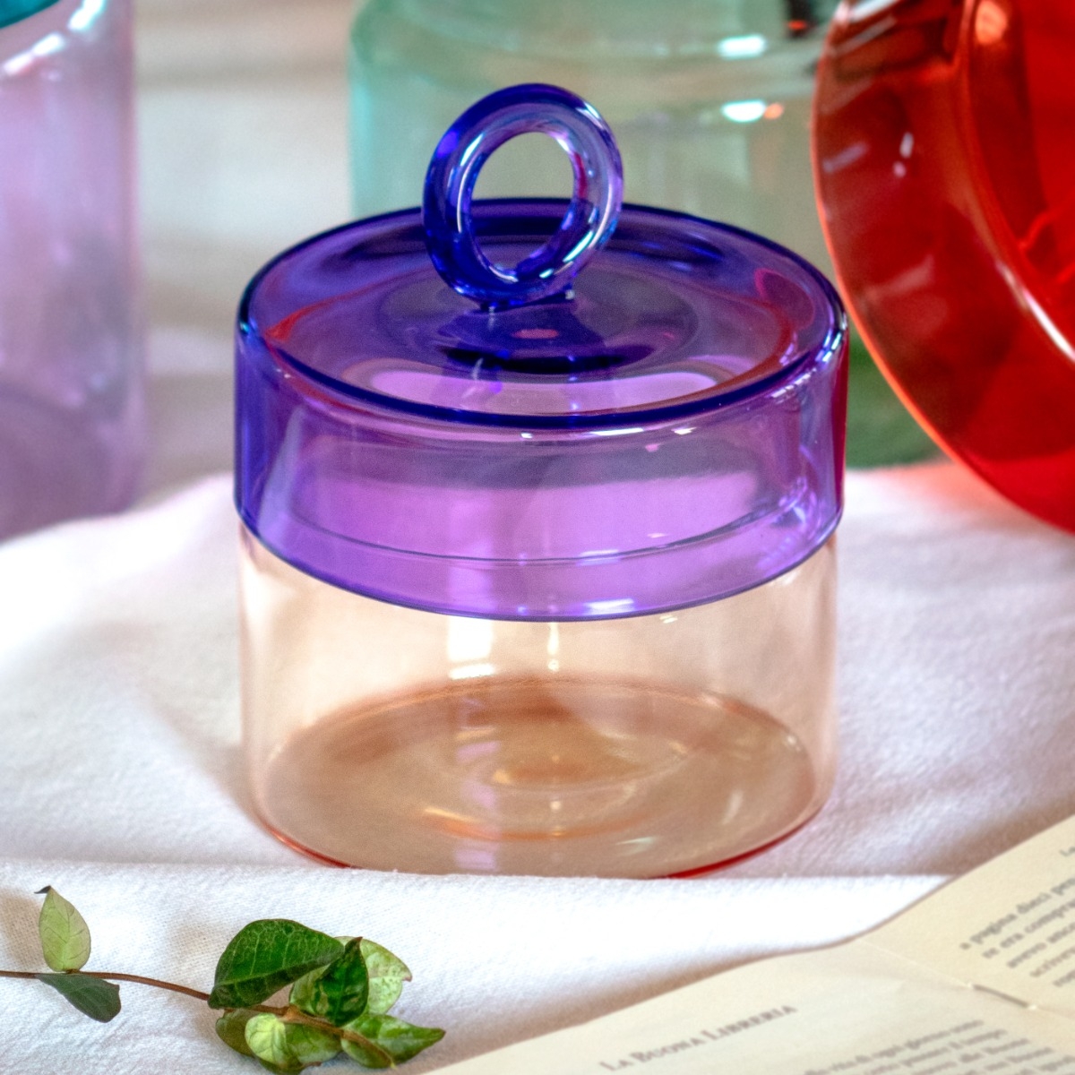 WDLIFESTYLE Barattolo in vetro borosilicato con manico colorato ad anello 500 ml