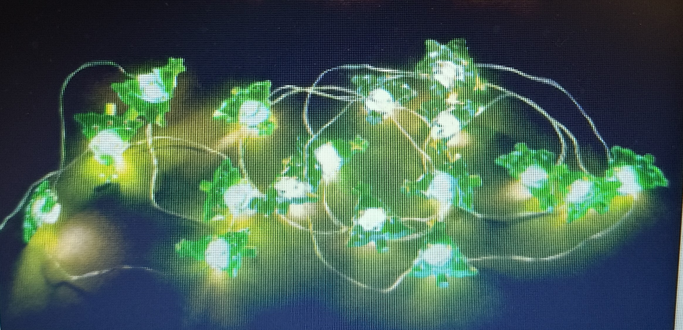 BIZZOTTO 20MICROLED KIM CLASSIC DISPLAY 24 ALBERI