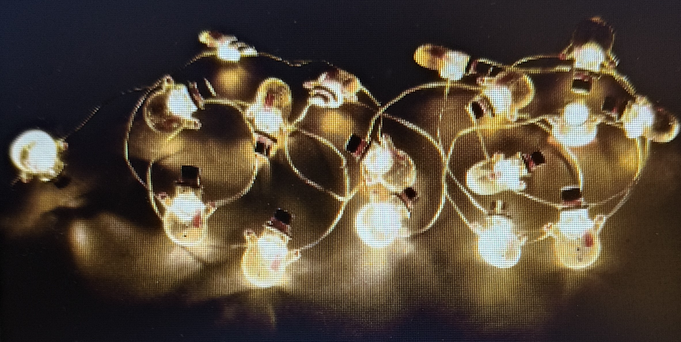 BIZZOTTO 20MICROLED KIM CLASSIC DISPLAY 24 PUPAZZI