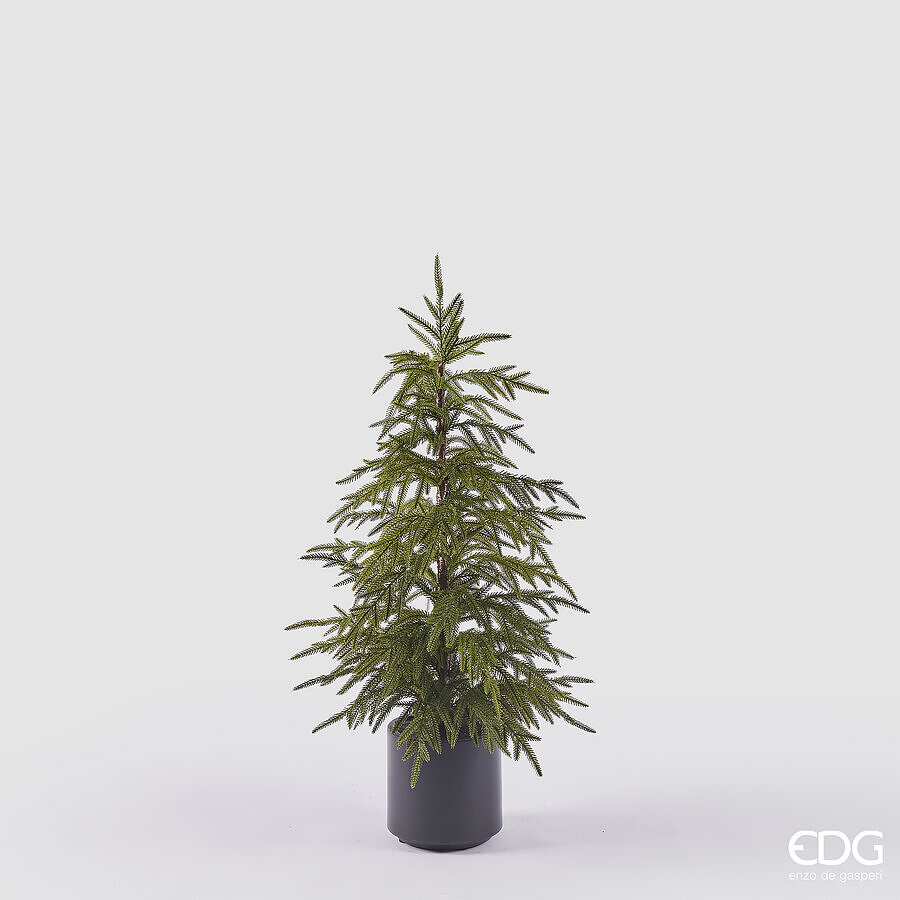 EDG DECORAZIONE Albero di Cryptomeria con vaso altezza 90 cm EDG DECORAZIONE Albero di Cryptomeria con vaso altezza 90 cm