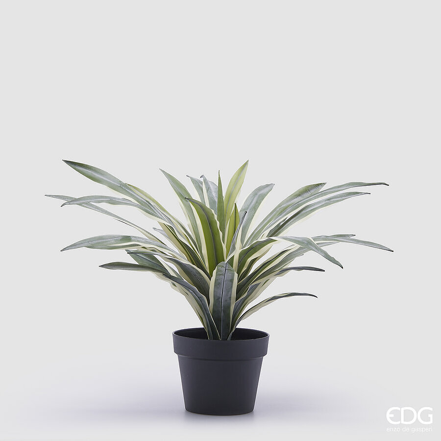 EDG Enzo De Gasperi Pianta Artificiale AGAVE con vaso h 45 cm