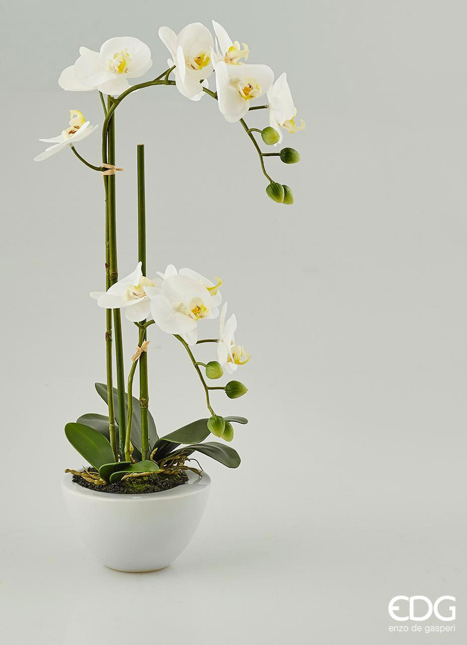 EDG Fiore Artificiale Orchidea  con Vaso H50
