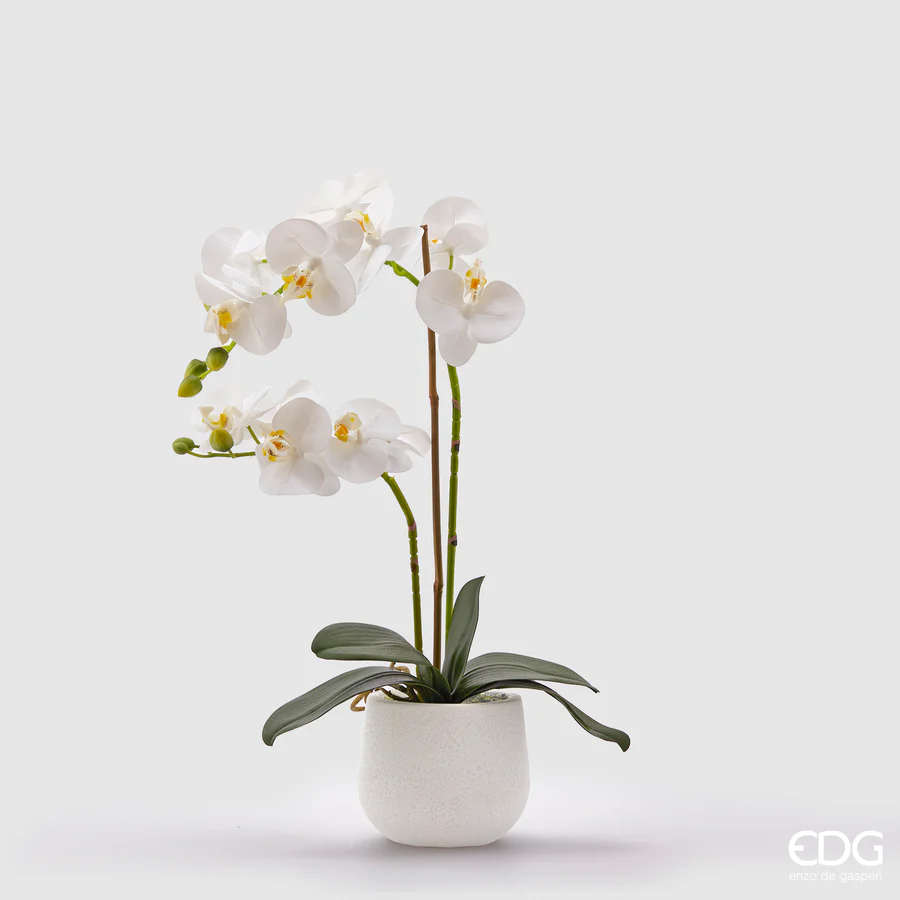 EDG Fiore Artificiale Orchidea bianco Real con Vaso h.53