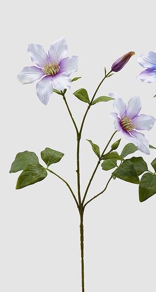 EDG Fiori Artificiali CLEMATIS RAMO CON FOGLIE FIORI BOCCIOLI VIOLA