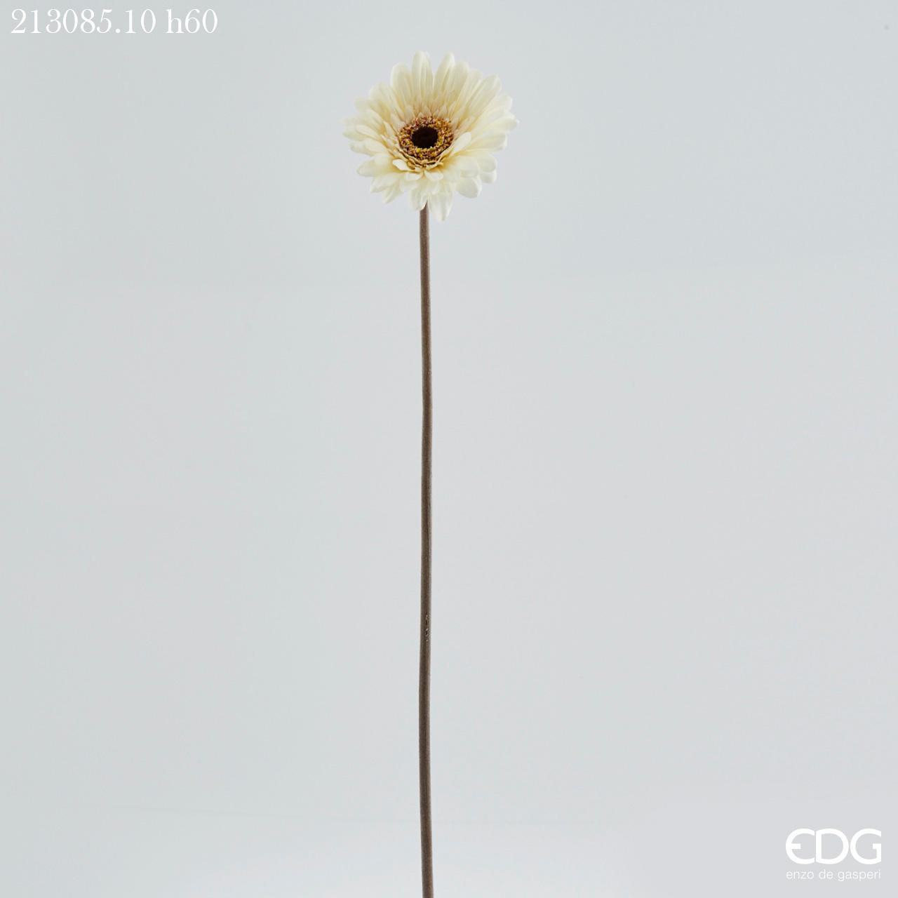 EDG GERBERA REX RAMO 1PZ H60