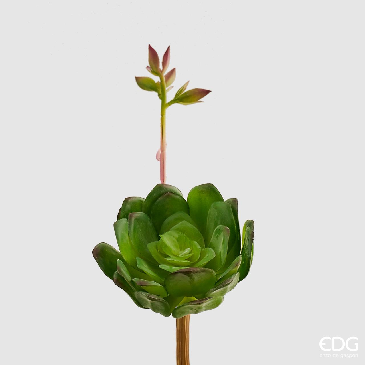 EDG Pianta Artificiale AEONIUM CHIC H27 D13