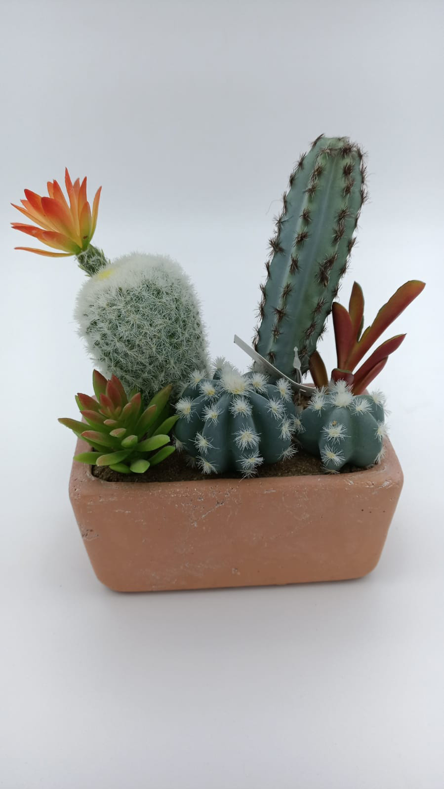 EDG Pianta Artificiale Cactus Mix con Vaso Rettangolare Largo 15 cm