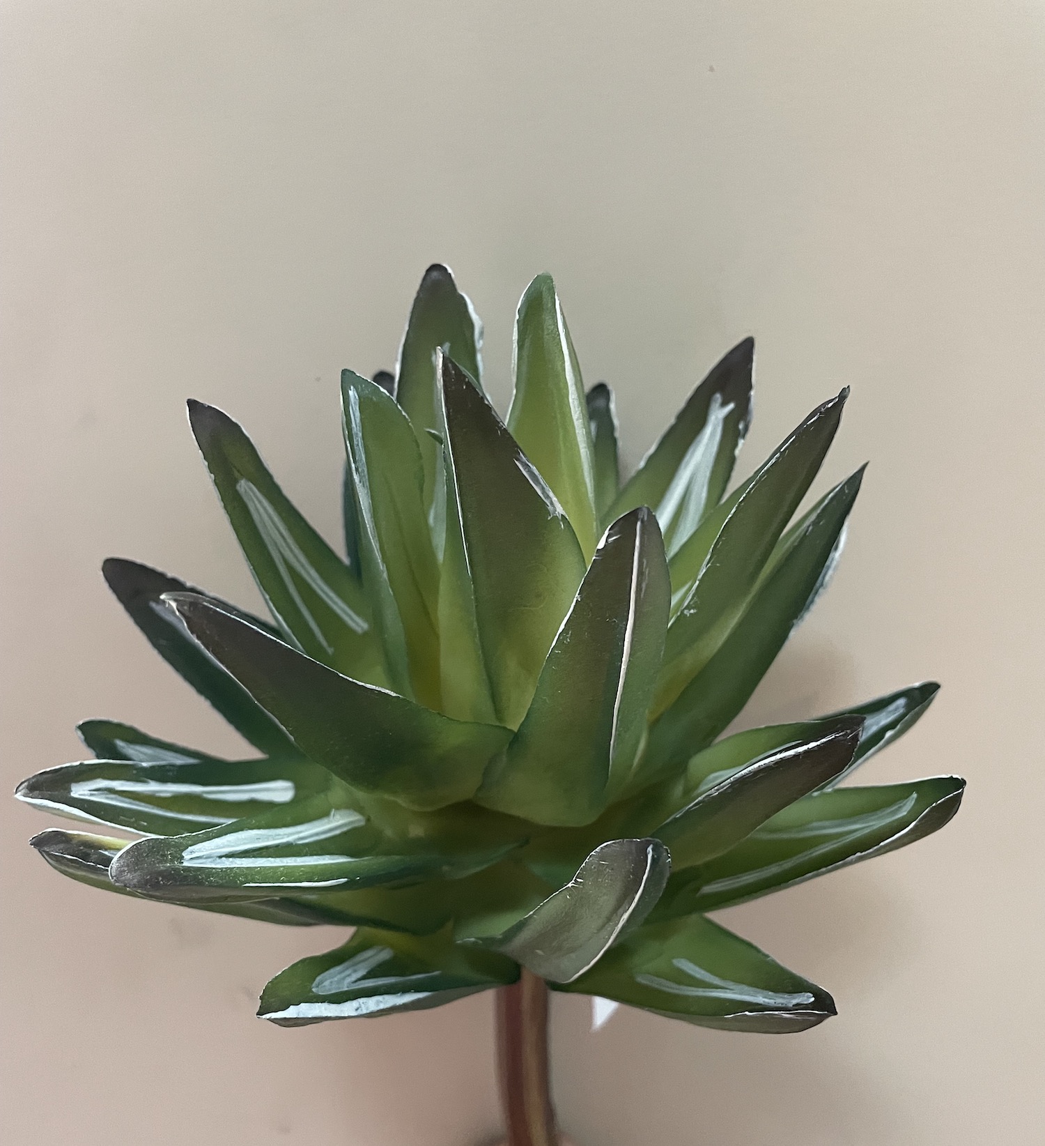 EDG PIANTINA ARTIFICIALE AGAVE REGINA H 21