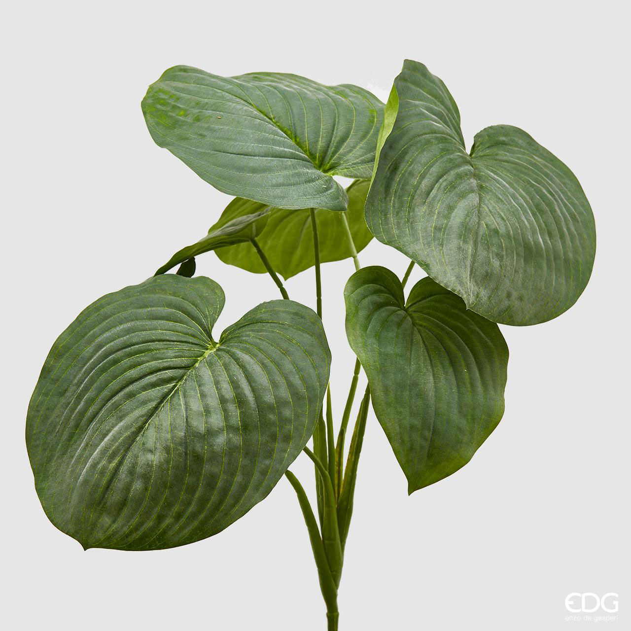 EDG Piantina ArtificialeHosta Verde