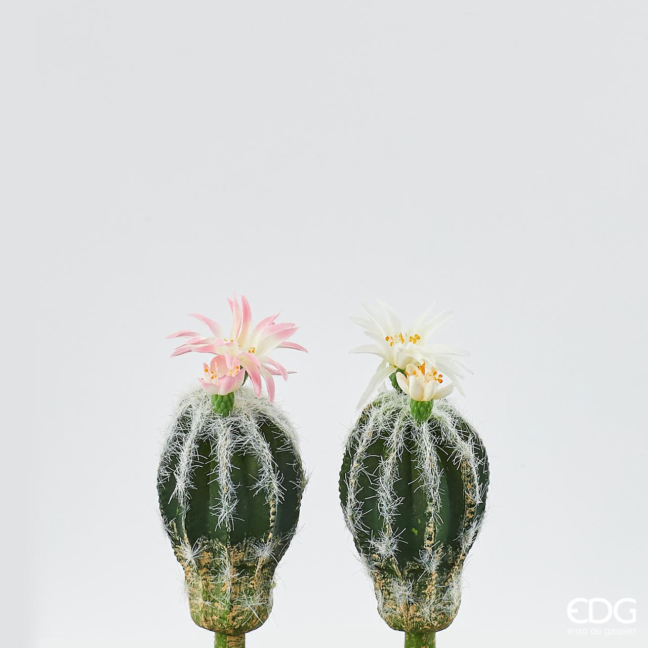 EDG Piantine Artificiali Cactus West Pick con Fiore Bianco Rosa Set 2  Pezzi