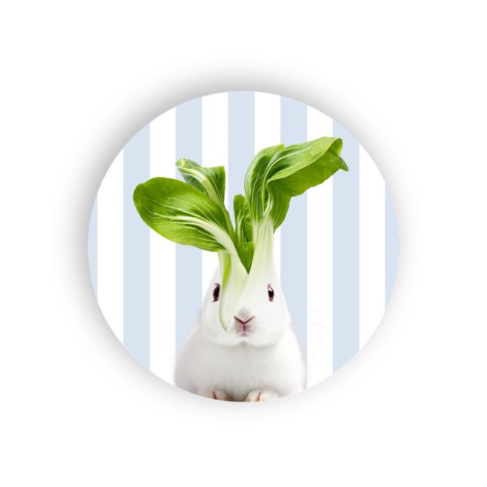 WD LIFESTYLE Sottopentola in Ceramica D 18 Cm Decoro coniglio