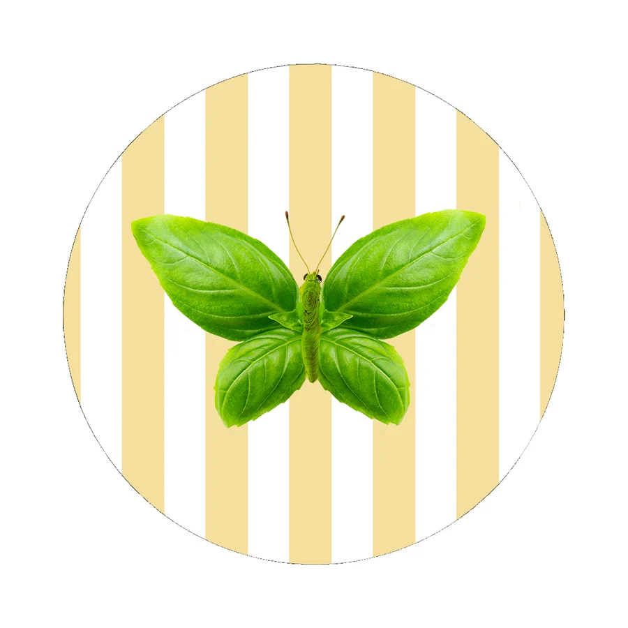 WD LIFESTYLE Sottopentola in Ceramica D 18 Cm Decoro FARFALLA