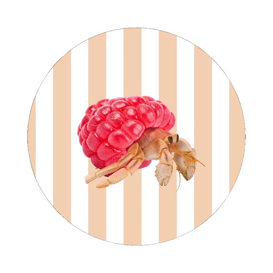 WD LIFESTYLE Sottopentola in Ceramica D 18 Cm Decoro Paguro WD LIFESTYLE Sottopentola in Ceramica D 18 Cm Decoro Paguro