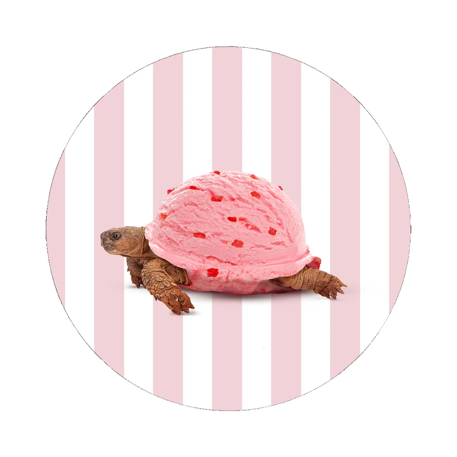 WD LIFESTYLE Sottopentola in Ceramica D 18 Cm Decoro TARTARUGA