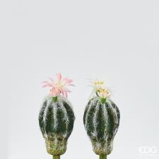  EDG Piantine Artificiali Cactus West Pick con Fiore Bianco Rosa Set 2  Pezzi