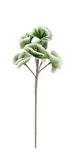 BIZZOTTO RAMO ROSA ARLY X5F+3B VERDE H80