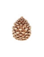 BRANDANI Sotto l&rsquo;Albero - candela led Pigna ORO