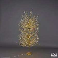 EDG ALBERO Faggio LUMINOSO 2000 LED