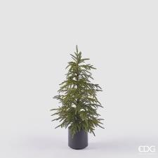 EDG DECORAZIONE Albero di Cryptomeria con vaso altezza 90 cm