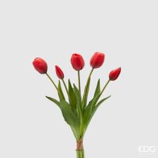 EDG Enzo De Gasperi Bouquet di tulipano ROSSO con foglie  5PZ