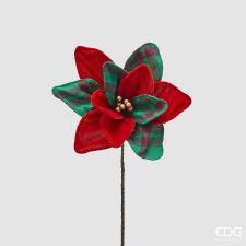 EDG Enzo De Gasperi ramo natalizio stella natale tartan pick h.33 cm