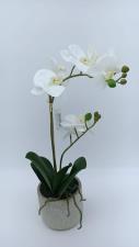 EDG Fiore Artificiale Orchidea Bianca