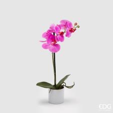 EDG Fiore Artificiale Orchidea con Vaso fuxiaH40