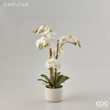 EDG Fiore Artificiale Orchidea con Vaso H38
