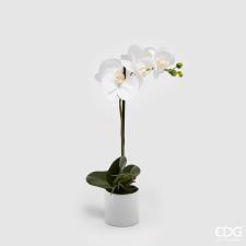 EDG Fiore Artificiale Orchidea con Vaso H40