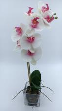 EDG Fiore Artificiale Orchidea Diametro 11 cm Altezza 9.5 cm