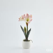 EDG Fiore Artificiale Orchidea Real con Vaso Rosa Crema
