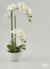 EDG Fiore Artificiale Orchidea x2 con Vaso H50