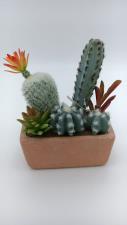 EDG Pianta Artificiale Cactus Mix con Vaso Rettangolare Largo 15 cm