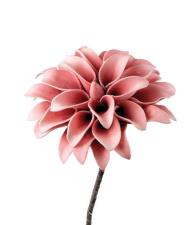 L’OCA NERA FIORE ARTIFICIALE Dalia