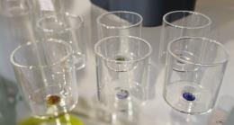 WD LIFESTYLE BICCHIERE Set 6 bicchieri bicchierini in vetro borosilicato