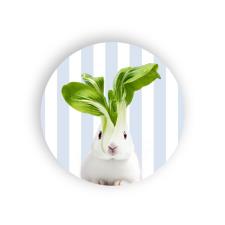 WD LIFESTYLE Sottopentola in Ceramica D 18 Cm Decoro coniglio